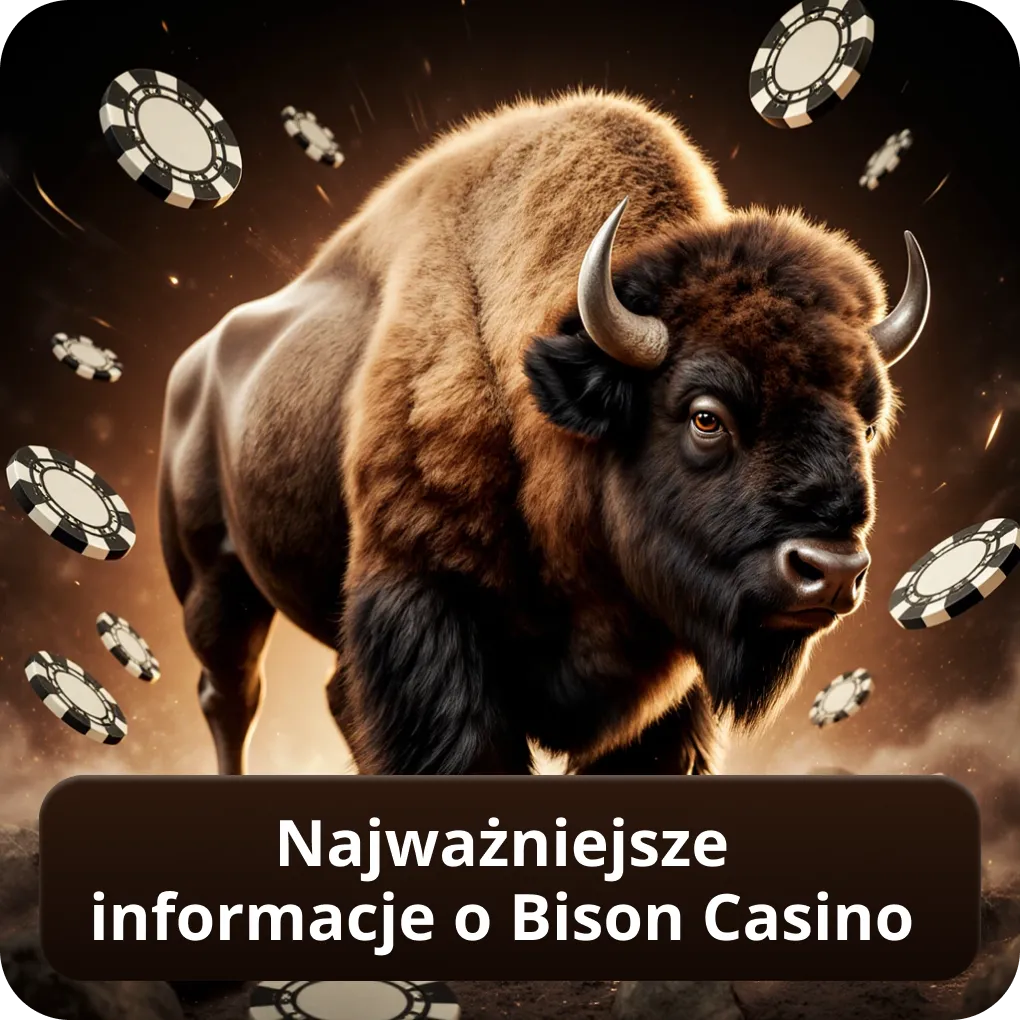 Najważniejsze informacje o Bison Casino